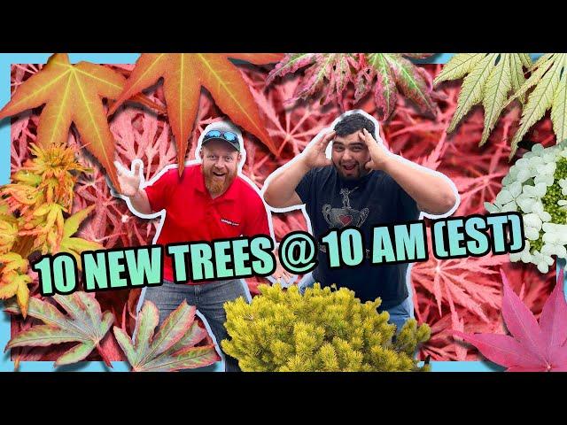 This 10@10 is HOT HOT HOT! Japanese Maples are bringing the HEAT on November 7th! w/ Tim and Corbin