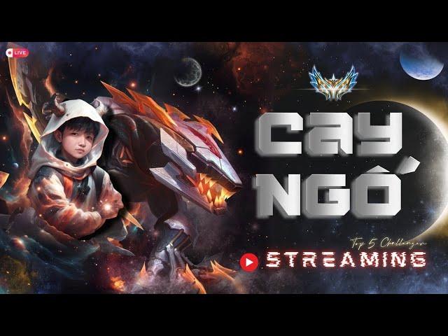 Cay Ngố LIVE STREAM: Rank six nhat viet nam