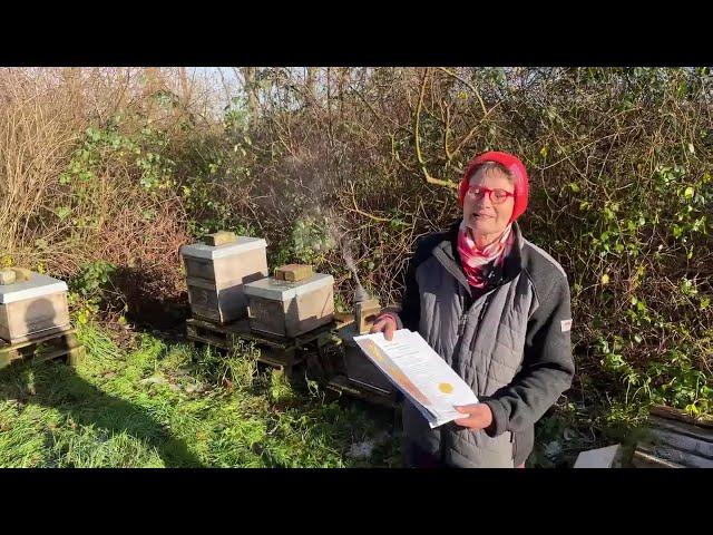 Live von Pias Bienenstand - 30.11.2024