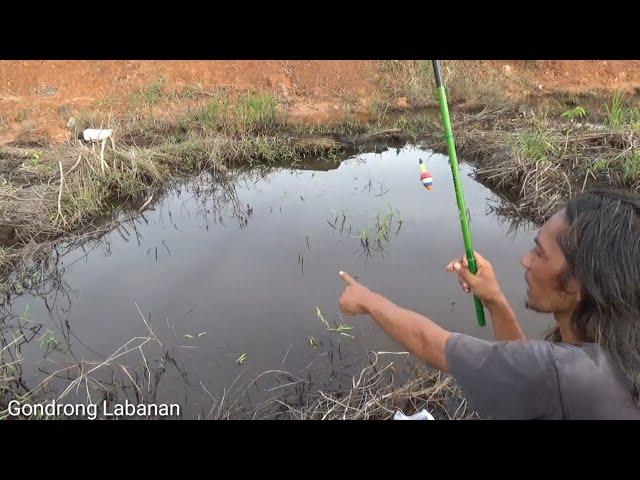 Rumput bergoyang!! Tandanya ada ikan