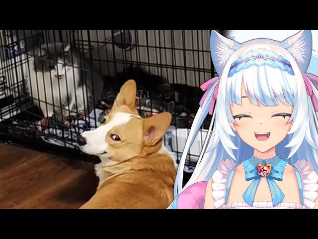 HE'S EVIL! | Milky Mew reacts to Daily Dose of Internet