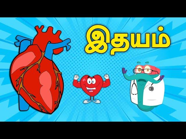 மனித இதயம் எப்படி இயங்குகிறது? | Human Body - The Heart | Dr.Binocs Tamil | Kids Learning Video