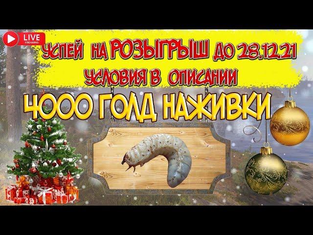 РУССКАЯ РЫБАЛКА 4(РР4)- РОЗЫГРЫШ 4000 к НАЖИВКИ ЧИТАЙ ОПИСАНИЕ УСПЕЙ ДО 28.12.2021