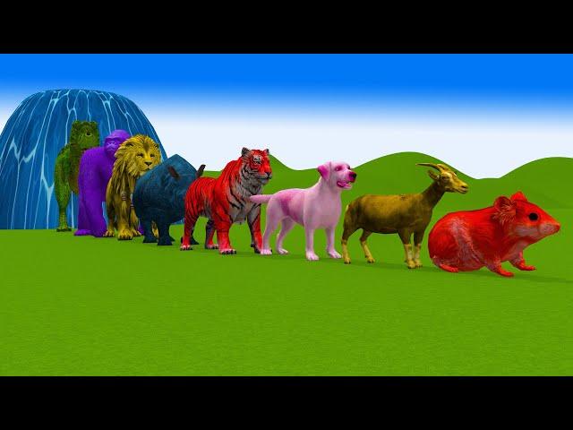 Paint & Animals Sheep,Dog,Lion,Gorilla,Tiger,Cow,Hamsters Fountain Crossing Transformation Animals