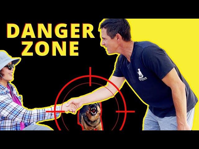 How to Fix a Dog's Aggressive Behavior Towards People - Intense & in-depth training session