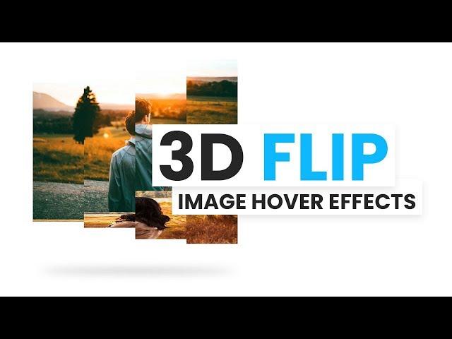 CSS 3D Flip Image Hover Effects | Html CSS