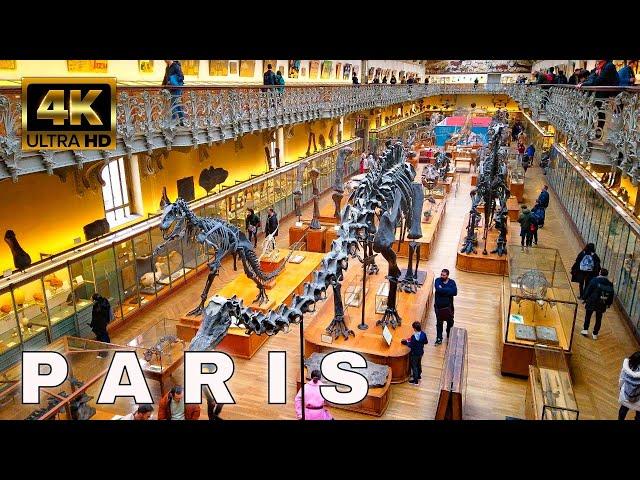 Paris France - French National Museum of Natural History - Paleontology and Comparative Anatomy