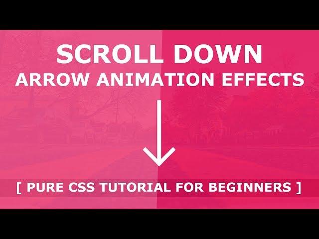 Css Scroll Down Animation - Pure Css3 Animation Effects - Custom Scroll Down Indicator Tutorial