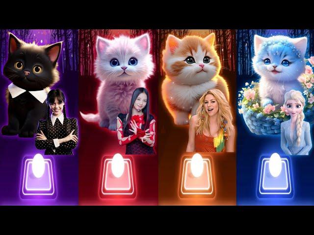 Cute Cats Dance | Wednesday Dance Bloody Mary | Jisoo Flower | Shakira Waka Waka | Elsa Enemy Songs