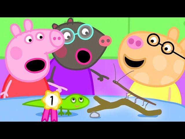 The Pet Competition at Peppa's Playgroup | Peppa Pig Official Family Kids Cartoon