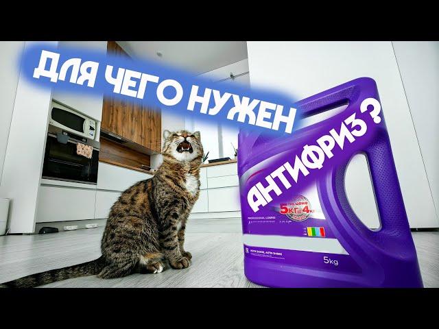 Для чего нужен АНТИФРИЗ?