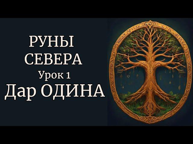 РУНЫ СЕВЕРА | ПРОИСХОЖДЕНИЕ СЕВЕРНЫХ РУН. ДАР ОДИНА. УРОК 1