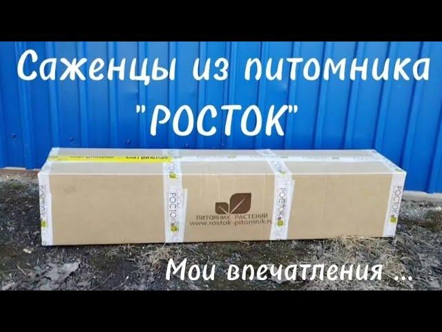 Саженцы из питомника "Росток" Челябинск. СУПЕР КАЧЕСТВО!