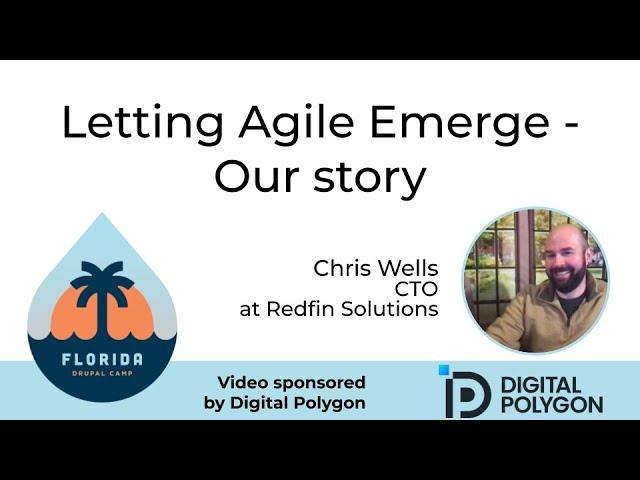 Letting Agile Emerge - Our story