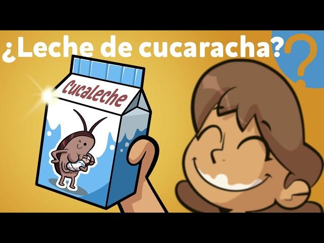 ¿Cuál será el SUPERALIMENTO del futuro que nos salvará de la hambruna?