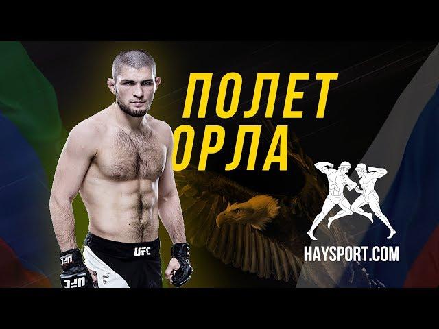 HS: "Полет Орла" фильм о Хабибе Нурмагомедове