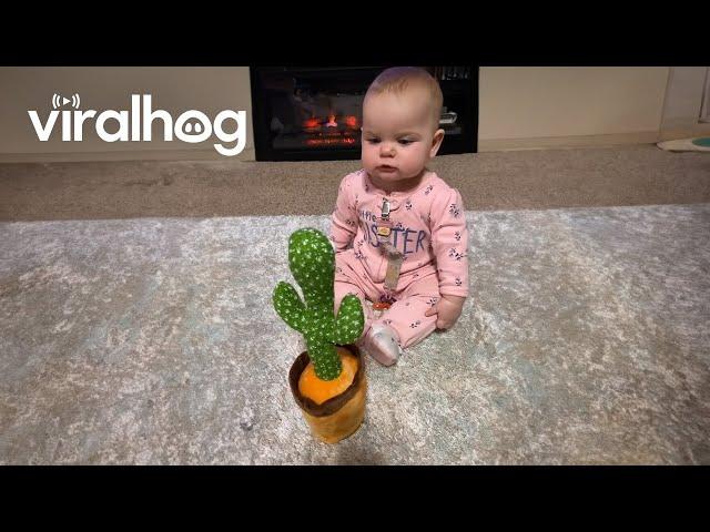 Baby Has in Depth Conversation With Talking Cactus Toy || ViralHog