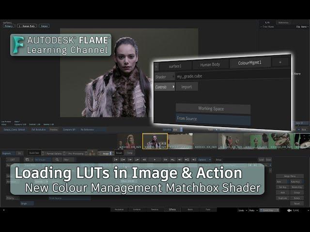 Loading LUTs in Image & Action - Flame 2022