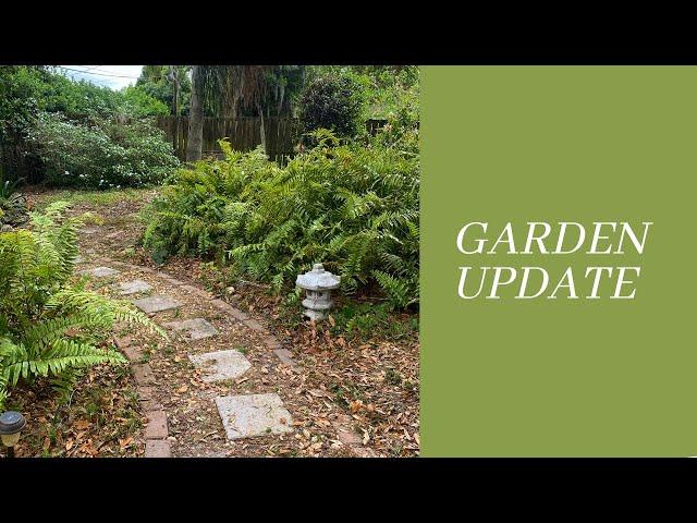 Central Florida Cottage Gardening | March 2021 Update