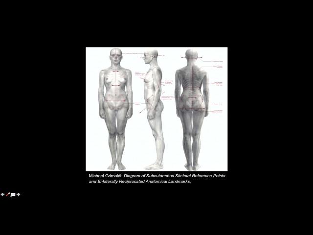 Michael Grimaldi: Anatomy and Physiology in Fine Arts Education and Studio Practice