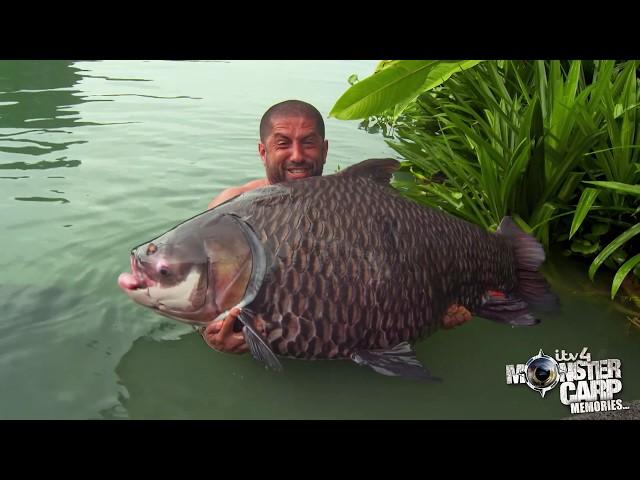 HUGE SIAMESE CARP LANDED at Gillhams, Thailand during Monster carp filming - Ali Hamidi