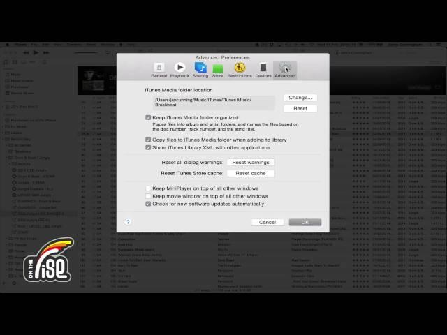 Setting Up iTunes Preferences for DJs