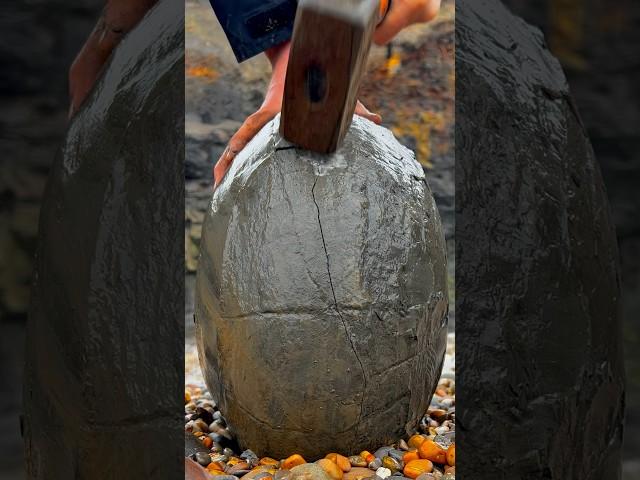 HUGE Boulder Cracked For Fossils!