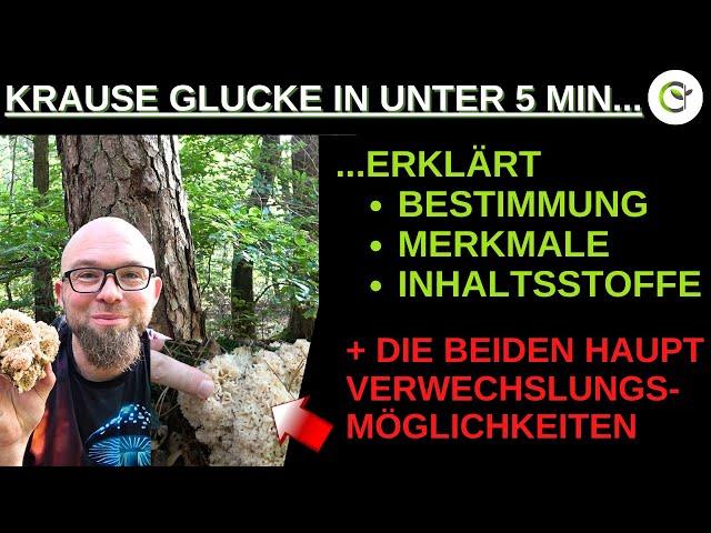 Die Krause Glucke in unter 5 Minuten vorgestellt und erklärt mit Verwechslungsgefahren!