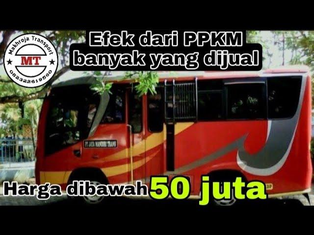 Harga Mikro bus engkel murah meriah harga tidak sampai 50 juta