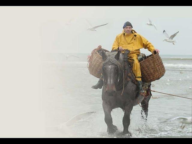 Fishing Like men! On horses