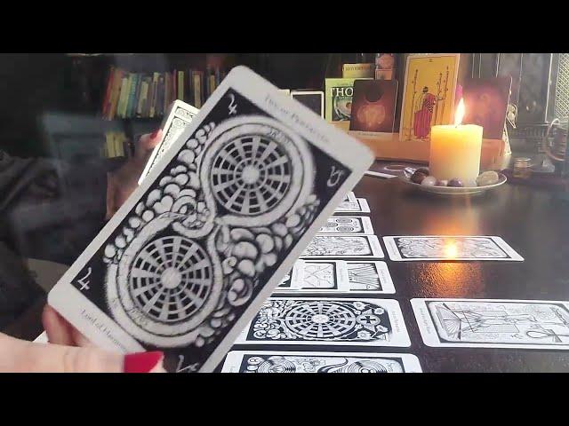 Meghan Markel AGENDA / Harry the PUPPET / Tarot Reading #royal