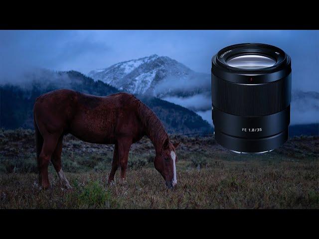 Sony FE 35mm f/1.8 Long-Term Lens Review