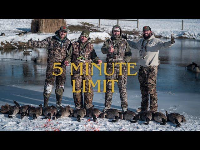 Last Day Canada Goose Hunt (5 minute limit on Farm Pond!)