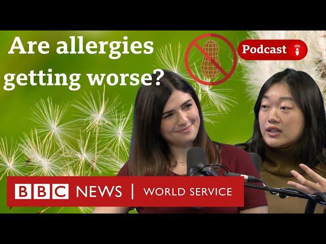 What’s causing the increase in allergies? - What in the World podcast, BBC World Service