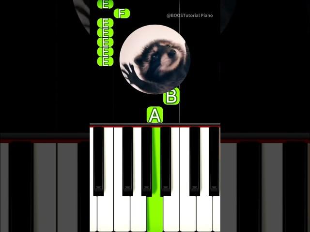 Pedro Pedro Pedro (Piano Tutorial) #TikTok