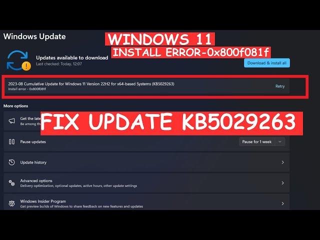 Windows 11 Cumulative Update 22H2 for x64-based Systems (KB5029263) |Fix Install error - 0x800f081f