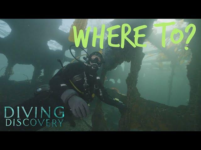 Diving Discovery (Ep. 3): Epic Dive Sites