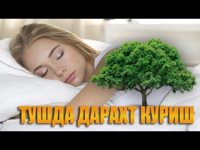 Туш табирлари - Тушда дарахт куриш