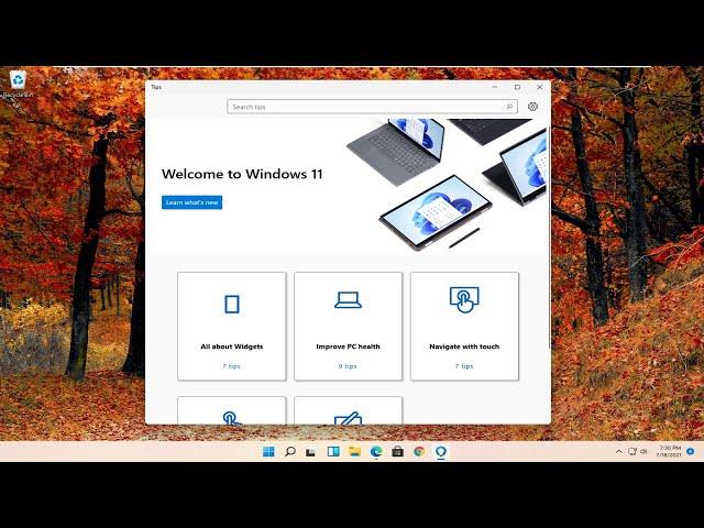 How to Create a New Local User Account - Windows 11