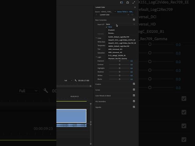 How to import LUTs into Premiere Pro