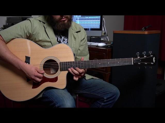 Taylor ES2 Expression System Pickup Demo