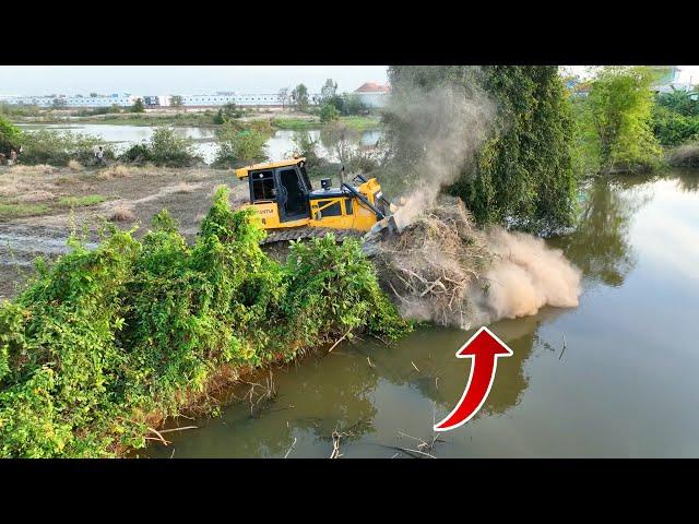 Wow!!!Bulldozer SHANTUI C2 Push Tree And Clear Land