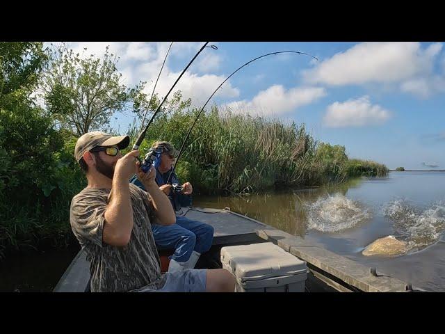 Catching GIANTS from Our Favorite Honey Hole (CATCH AND COOK)