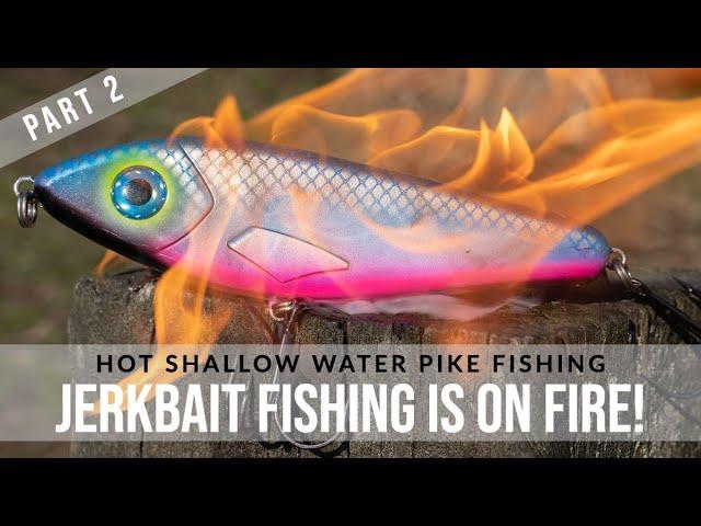 UGLIEST BAIT EVER? Jerkbait Fishing is ON FIRE!   - The BEST Jerkbaits to catch pike during Spring