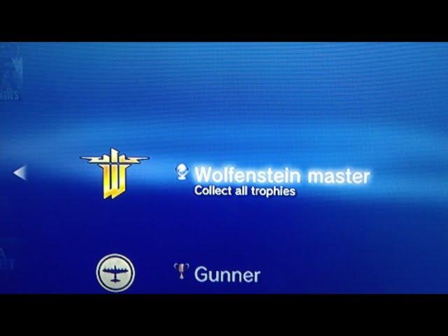 got the wolfenstein the new order platinum