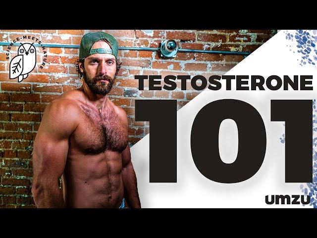 Testosterone 101: How To Increase Testosterone, LH, and FSH