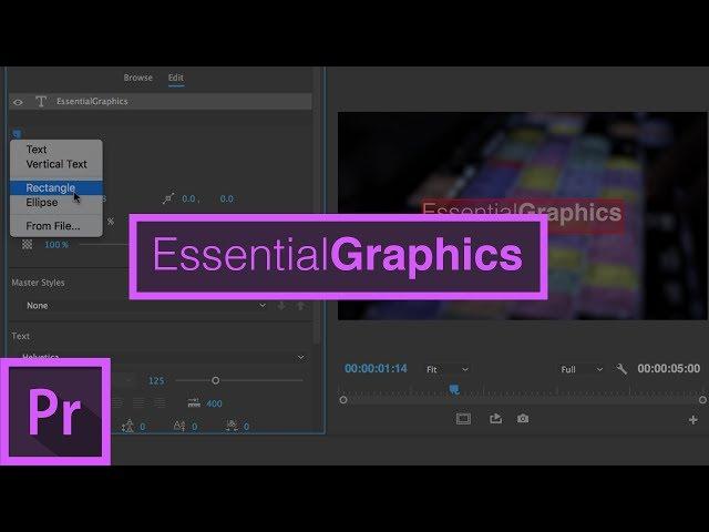 The Essential Graphics Panel