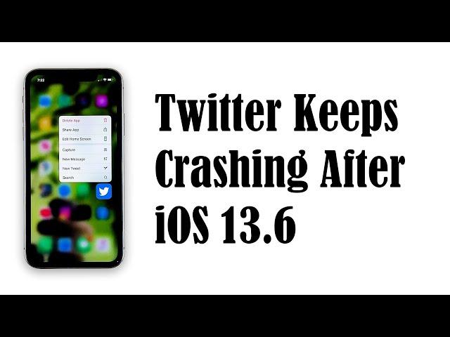 Twitter Keeps Crashing On iPhone 11 After iOS 13.6 Update