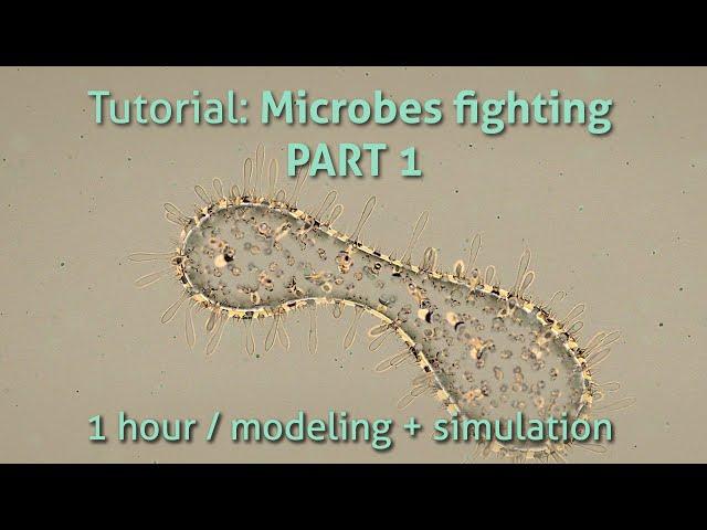 Houdini Tutorial Trailer: Microbes fighting PART 1 + HIP file.