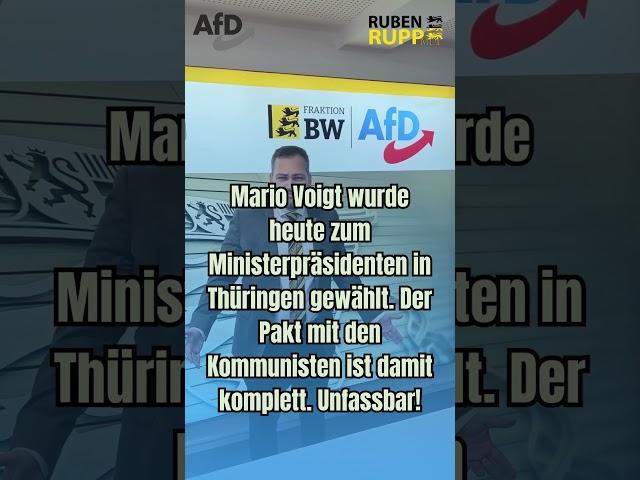 Pakt mit den Kommunisten! #shorts #shortsfeed #shortvideo #afd #politik #deutsch #foryou #fyp